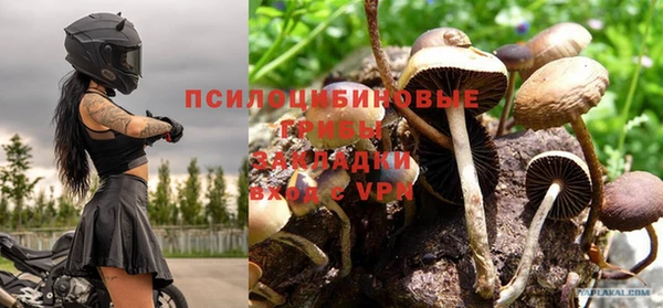стафф Абинск