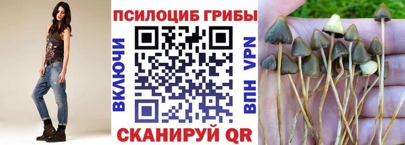 Псилоцибиновые грибы Psilocybe Емва